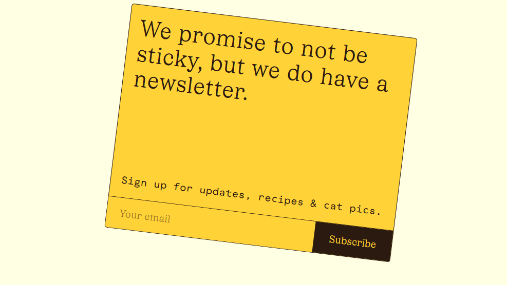 Newsletter Subscription