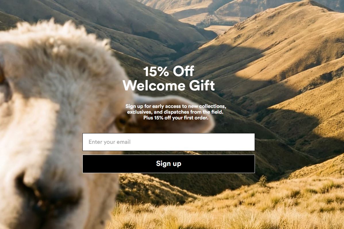 Sheep Inc 15% Off Sign Up CTA.JPG - Image 16
